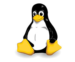 Linux